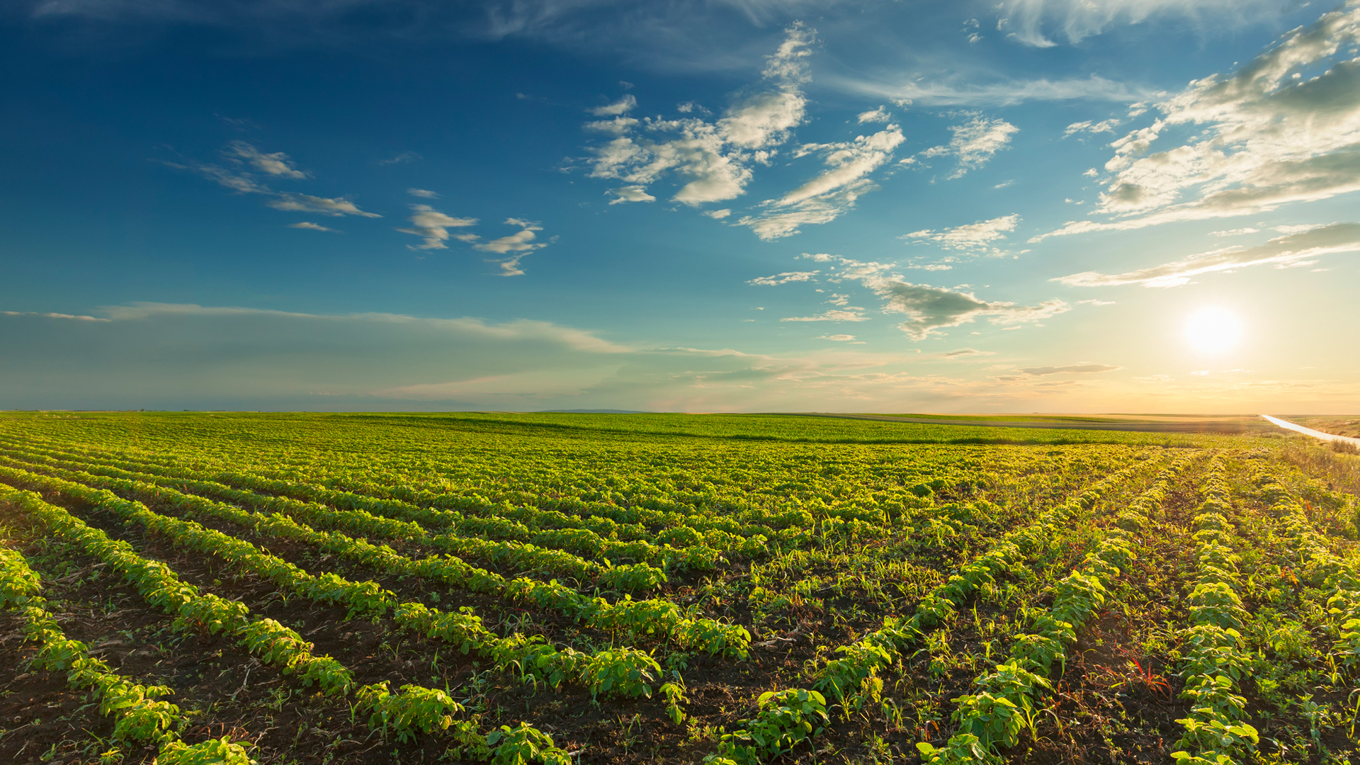 بگذارید مرحله اول محکم لنگر بیاندازد!
