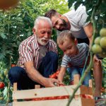 کودهای کلاته چیست؟